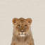 «Sourire lion», reproduction sur toile-28014416