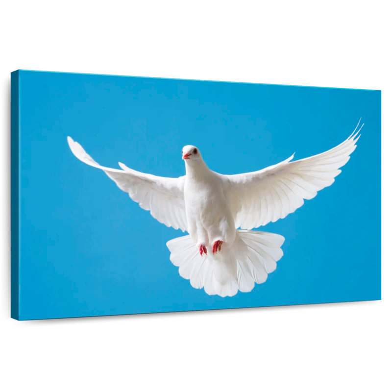 White Dove Flying, 30" H x 45" W