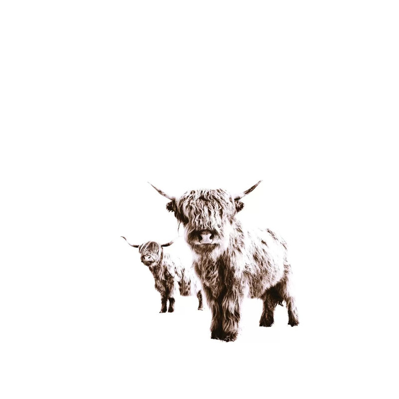 Highland Cows Lulu And Sara by Monika Strigel - Print on Canvas, 66.04cm H x 45.72cm W x 3.81cm D, Wrapped Canvas
