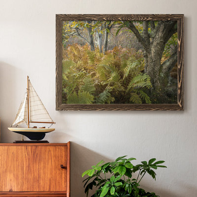 " Autumn Ferns "