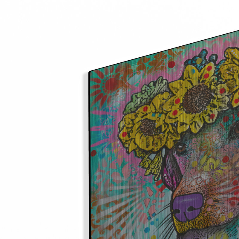 «Sunflower Lab» par Dean Russo, H 12 po x l 16 po