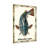 Animals Vintage Fish Print With Ornate Frame-466643867