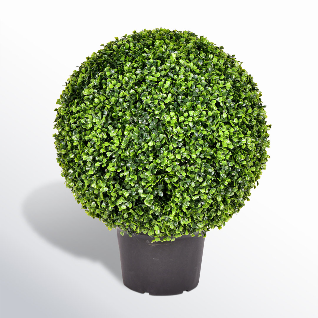 Hillside Artificial Green Boxwood Ball. Birch Lane™