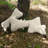 Sherpa Bone Pet Pillow-12373440-30047982