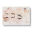 A Flock Of Pelicans - Wrapped Canvas-56637189