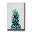 «Pineapple Ii» par Tai Prints, art mural sur toile-1698526434