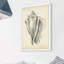 Single Picture Frame Print-165818364