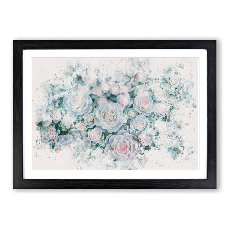 Succulent Plants Abstract - Single Picture Frame Print on MDF, Black Framed, 45cm H x 63cm W x 2cm D