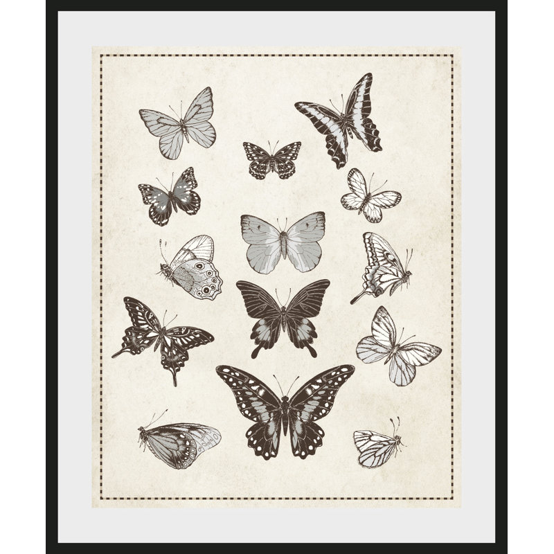 Butterfly - Single Picture Frame Print, 60 cm H x 50 cm W x 5 cm D