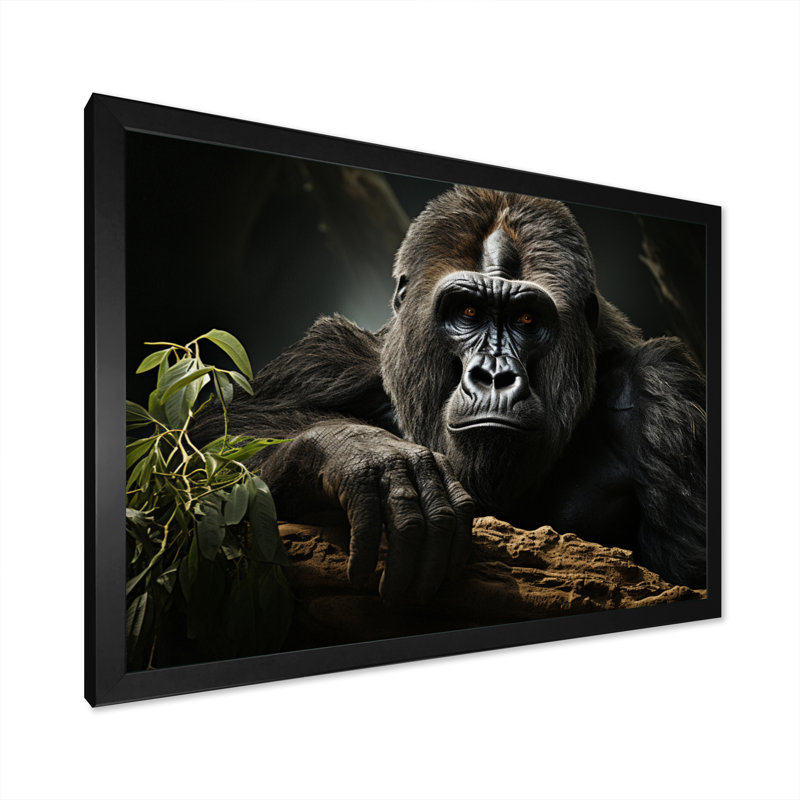 «Afrique Gorillas Serenity» sur impression sur toile, Cadre photo noir, H 12 po x l 20 po x P 1 po