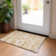 Tianni Washable Southwestern Indoor / Outdoor Rug
