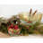 Black Forest Pine 6" Serving Bowl-1274696153