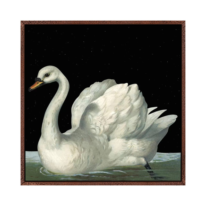 Swan In Night by Mirano - Painting on Canvas, Classic Brown Wood Framed, 93.98cm H x 93.98cm W x 3.81cm D