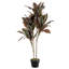 119.9cm Faux Rubber Tree in Plastic / Acrylic Pot