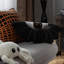 Coussin Phantoscope Happy Halloween-117258742