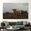Art mural sur toile Highland Cow - Striking Wild Bison