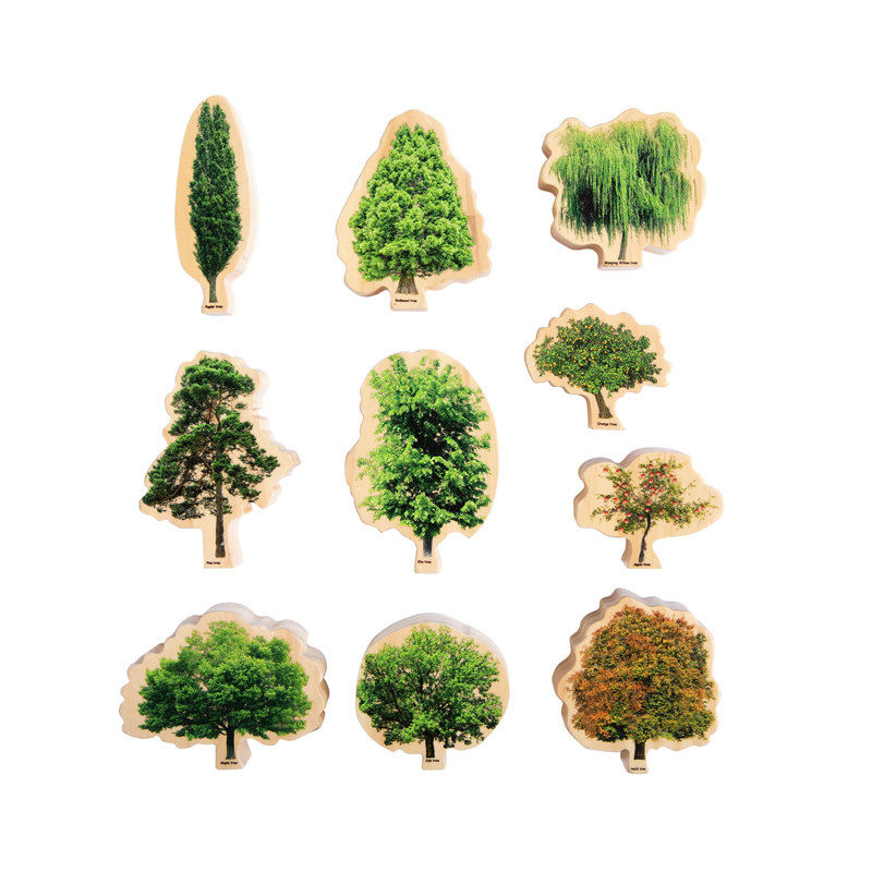 Arbres de saisons