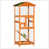 Orange est en rupture de stock
