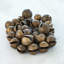 Brass Bell Cluster-64031453