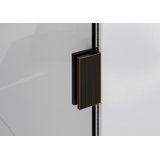 Vela 21.5 in. x 58.25 in. Frameless Single Fixed Bath Panel