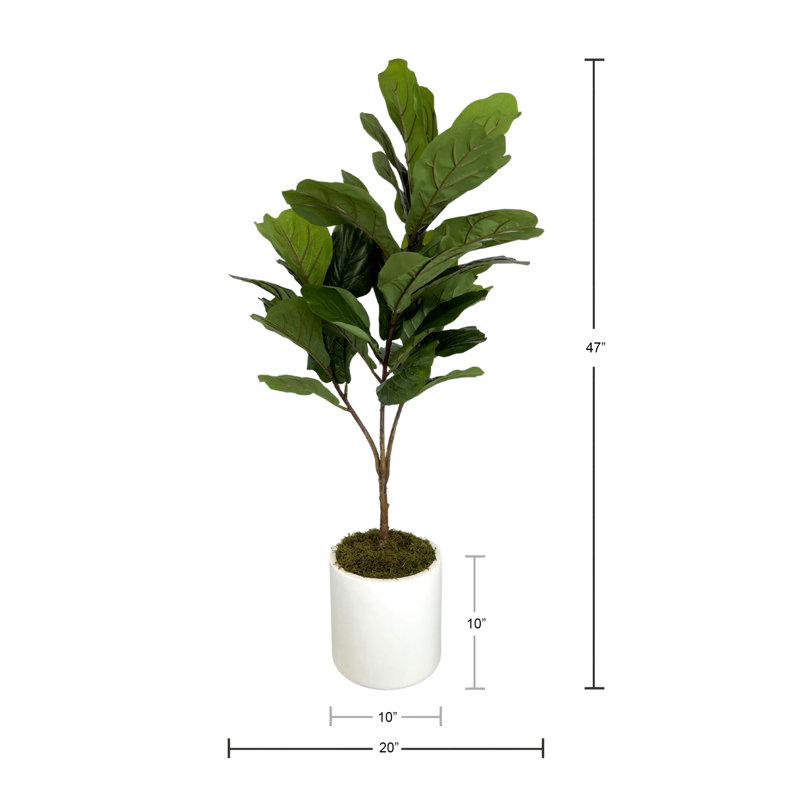 Organic Modern 4' Faux Fiddle Leaf Tree