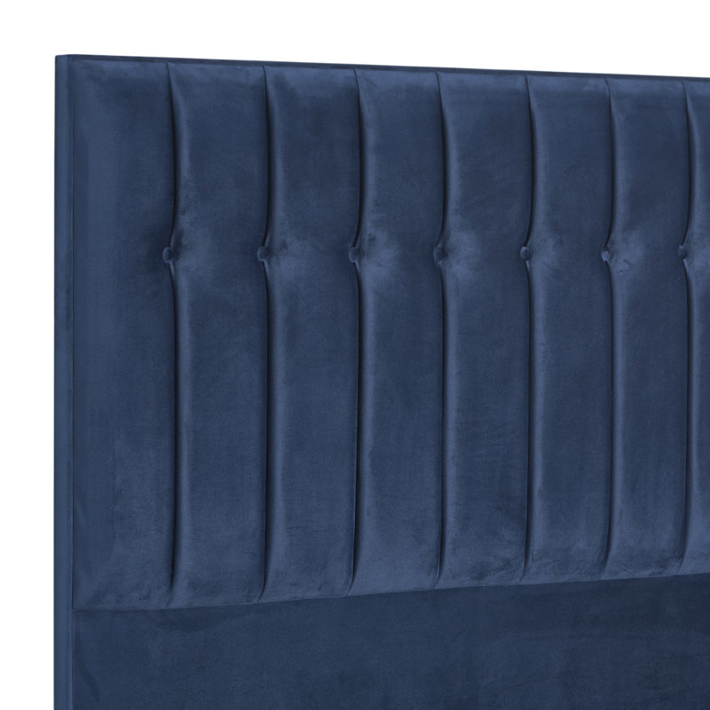 Robbins Upholstered Headboard, Single (3'), Plush Navy, Velvet