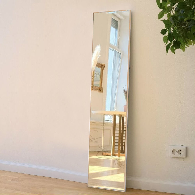 Heulyn Rectangle Metal Frame Over the Door Full Length Mirror, 147cm x 37cm, Gold