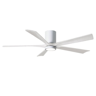 Ventilateur de plafond à 5 pales DEL avec ensemble d'éclairage inclus Irene