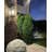 Sona Black 3 - Bulb 24" H Outdoor Wall Lantern