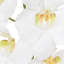 36" Artificial White Phalaenopsis Orchid Stems