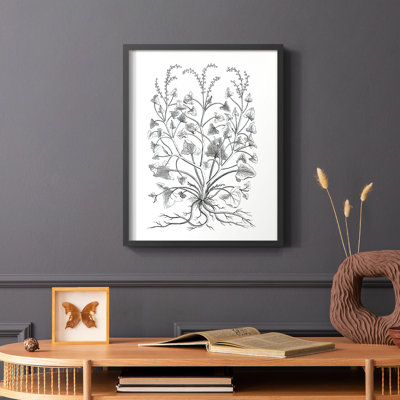 «B&W Plant Speciment», reproduction encadrée - bois massif