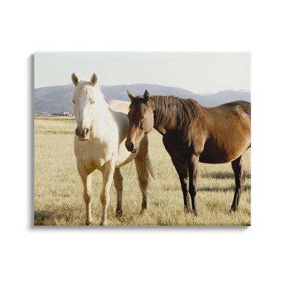 "Rurale, chevaux, nature, animal" par Emily Navas - Photographie sur toile tendue