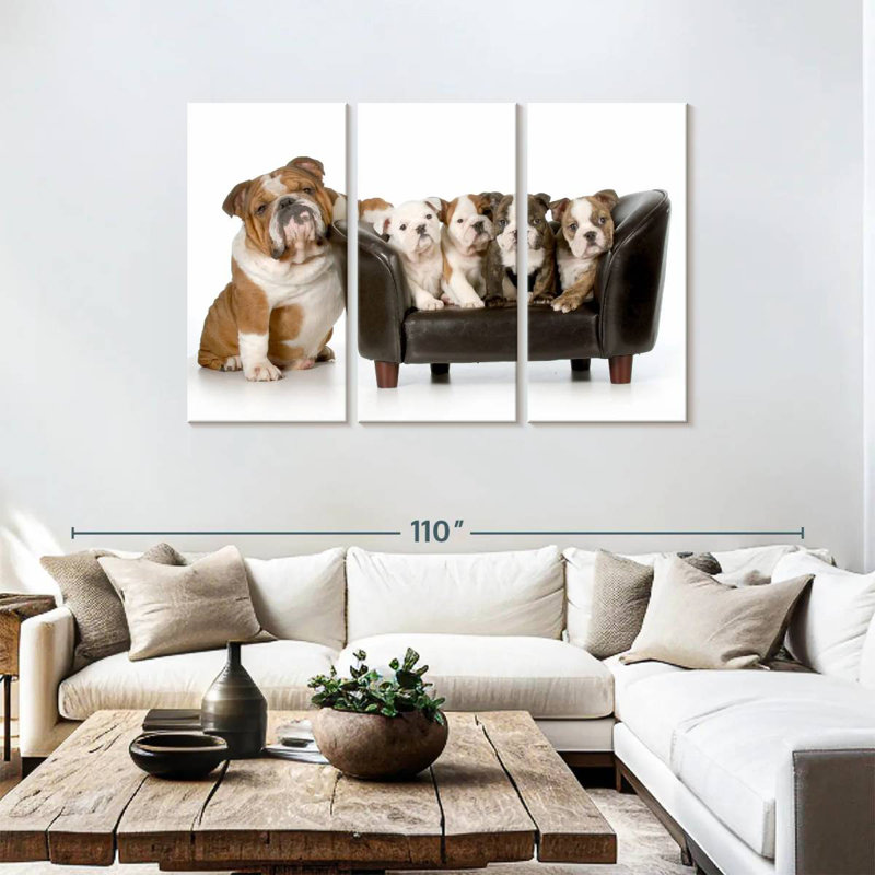 Brampt English Bulldogs, 48" H x 74" W