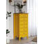 Delrick 6 Drawer 50Cm W Tallboy-306199969