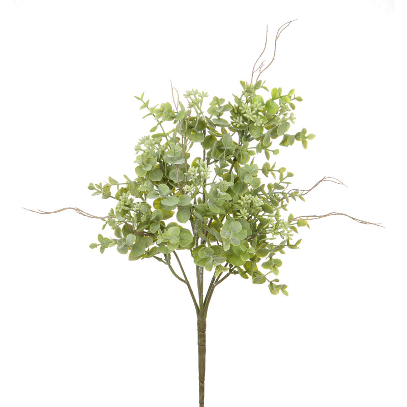 SEEDED EUCALYPTUS BUSH