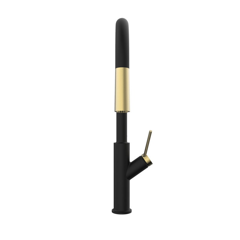 Keeney Pull Down Kitchen Faucet, Matte Black/Gold