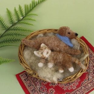Dog and Cat Magnet Needle Felting Kit