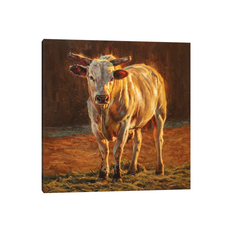 Rodeo Gold by Mark McKenna - Painting on Canvas, Wrapped Canvas, 93.98cm H x 93.98cm W x 3.81cm D