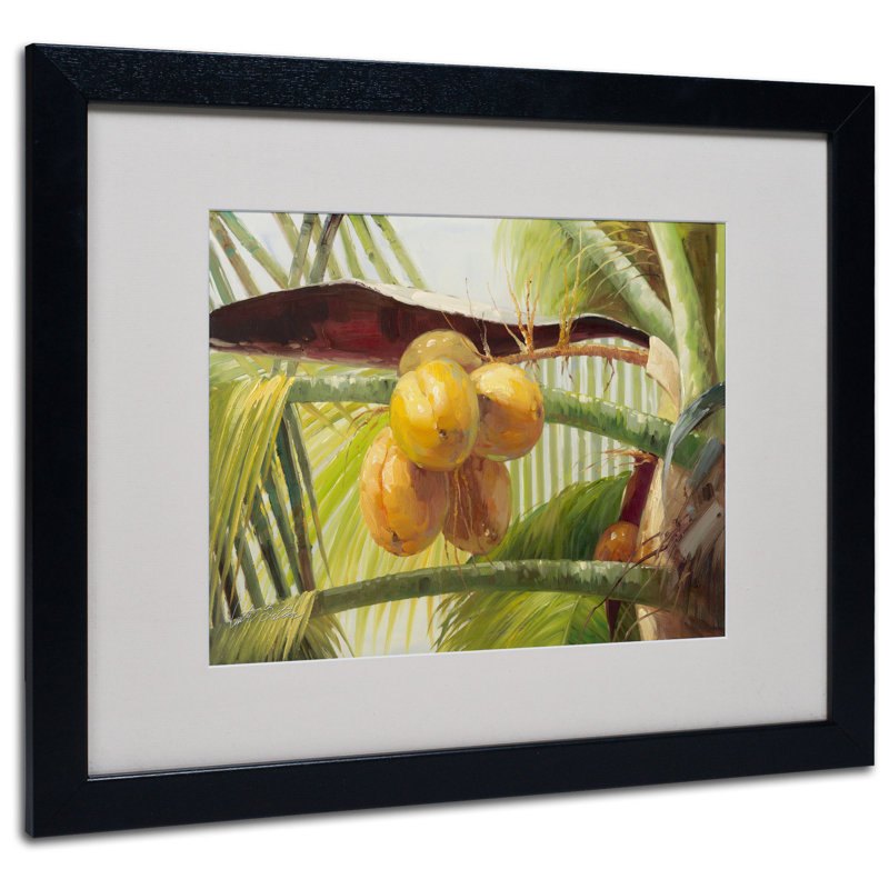 « coco palm i », reproduction d’art sur toile encadrée, Noir, H 16 po x l 20 po x P 0,5 po