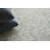 Tuscany Floral Area Rug
