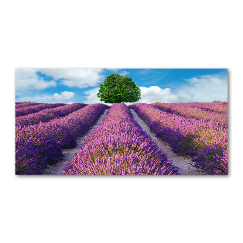 Lavender Field - Wrapped Canvas Print