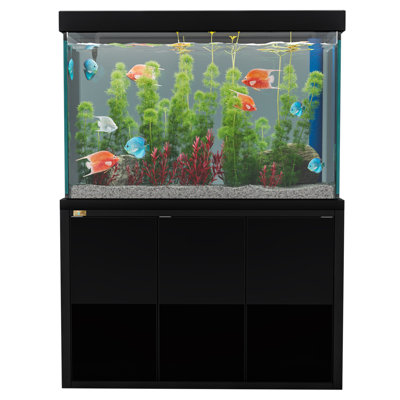 50 Gallons Rectangle Aquarium Tank