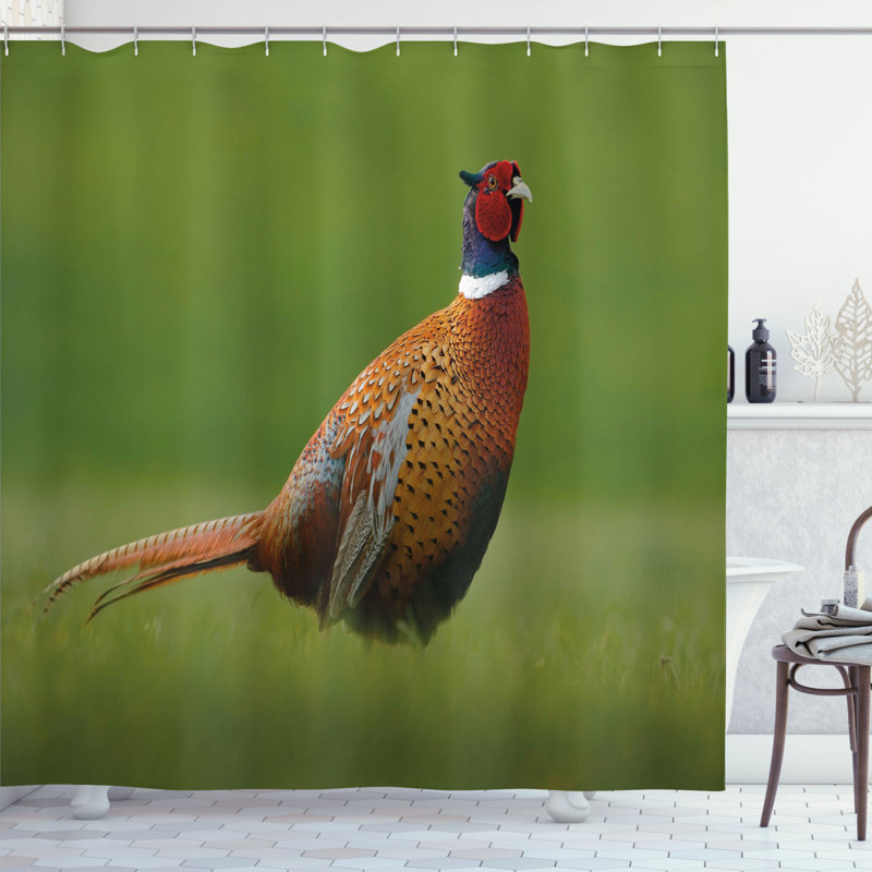 Shower Curtain with Hooks Included, 70" H x 69" W