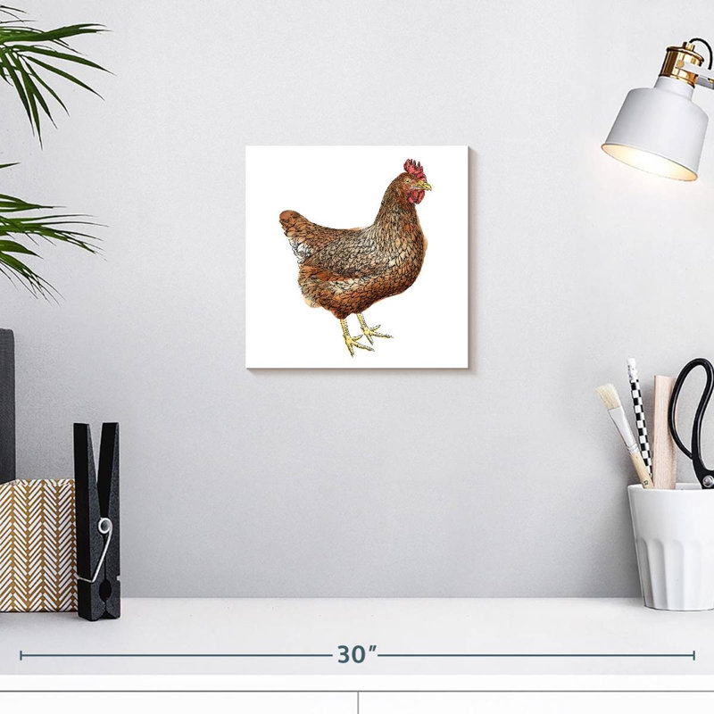 Poulet brun Crowle, H 10 po x l 10 po
