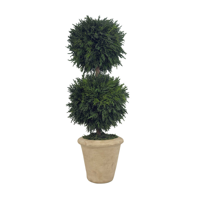 Topiaire de cyprès en conserve 16 po Evercrest
