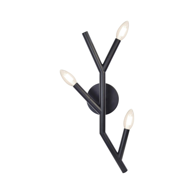 Danazia 3 Light Wall Sconce, Matte Black