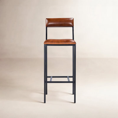 Augustus Genuine Leather Bar & Counter Stool