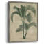 Impression encadrée de toile de jute palmier II - bois massif-1000829915