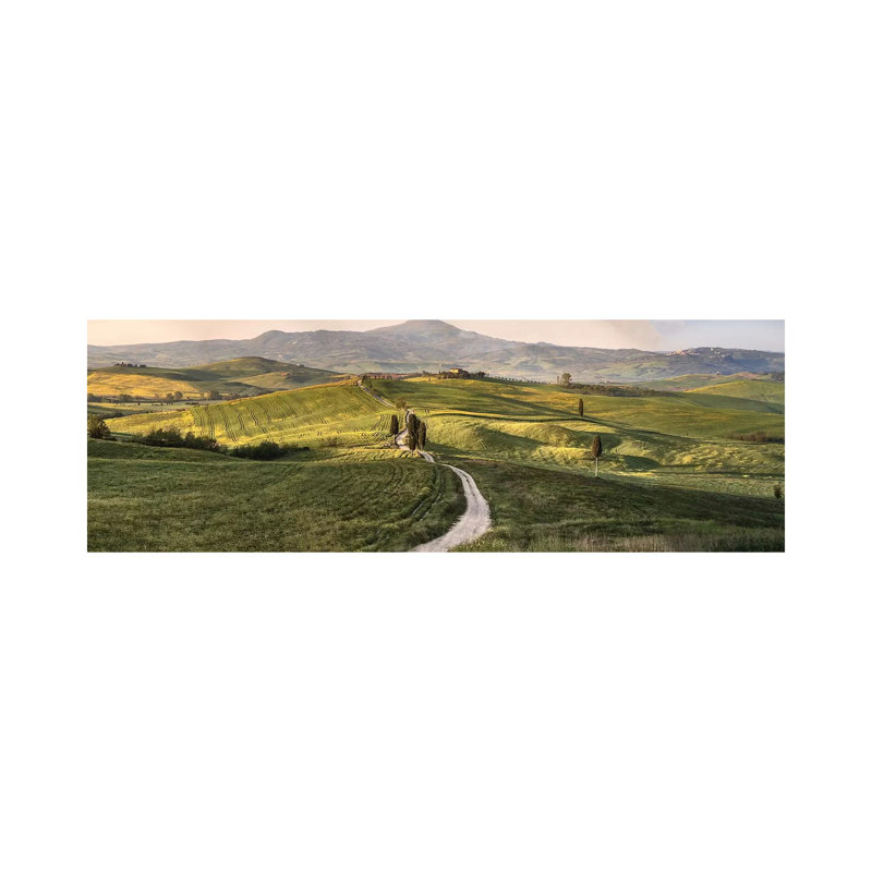 Italy, Tuscany, Val D'Orcia by John Ford - Wrapped Canvas Panoramic Print, 40.64cm H x 121.92cm W x 1.91cm D