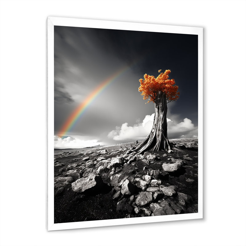 Arc-en-ciel en arc-de-gris sur un oranger - impression, Cadre photo blanc, H 32 po x l 16 po x P 1 po